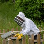 日本不卡高清免费v w8lai